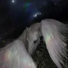 angwlllw