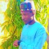 alameenusman20