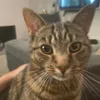 alfie_134767