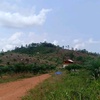 faisbangkabelitung