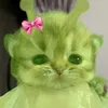 jessenia.choy.san