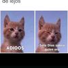 clau84579