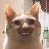 meoyn2