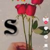 pagal63597