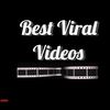 Best Viral Videos 365