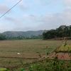maesaroh.pramana