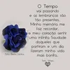maria.rosario5589