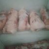 bebekfrozen8