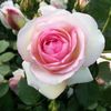user023104206