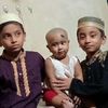 amirulislam3223