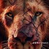 sanjeew828