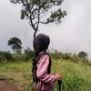 dinstecuuuuu