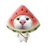 hin_339
