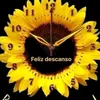 mariafloreflori
