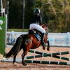 eq_niklavs