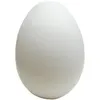 egg.421