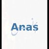 anas_ibi