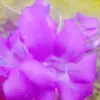 sopiyakatel0