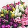 user9326031409439