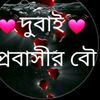 user8586290571379