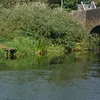 fishingontheriver7