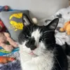 thomashughes82