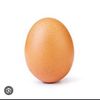 egg_head2135