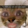 luci_wpd