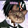 trimings1