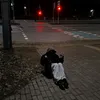 marnixfg