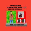 carwogooe2