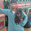 shahsaib969