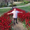 omrmusab_gunes3460