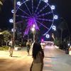 soraya_drr