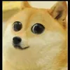 karatamonkeii