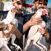 hayyat.birds