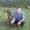 joel29330