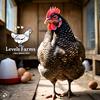 levelsfarms