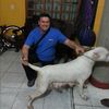 alfonso.guerrero965