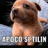 tilin123125
