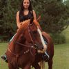 skyshorse