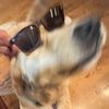 claire.new.main