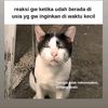 anjayyterus1