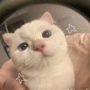 temu_finds355