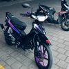 dearta11_