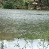 user2430081384504