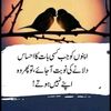 shumaila..sadf