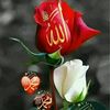 aishakhan6415