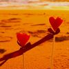 anika.khatun26