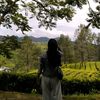 dewi.rahmawaty6